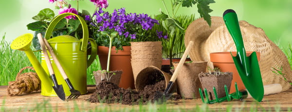 10 patarimų pradedančiajam sodininkui