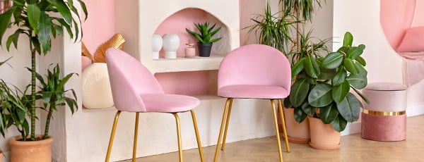 Kaip surengti namų džiungles? 2025 m. tendencijos. - GradinaMax Kaip surengti namų džiungles? 2025 m. tendencijos.