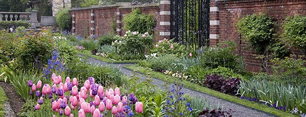 "Old Money" stiliaus sodas - augalai ir dekoras