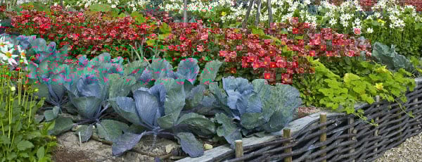 Pakeliamos lysvės - privalumai ir trūkumai