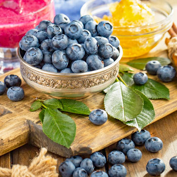 Aukštosios šilauogės