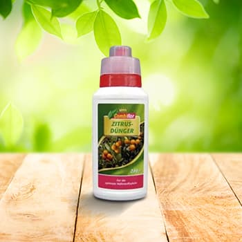 Citrusiniams vaisiams