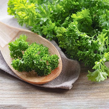 Garbanotosios petražolės