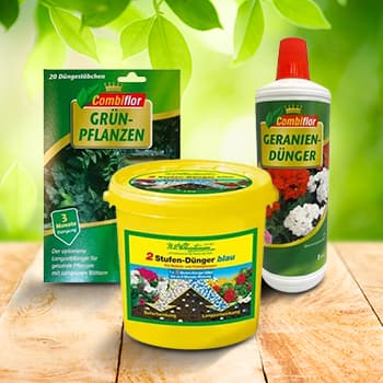 Kambariniams augalams