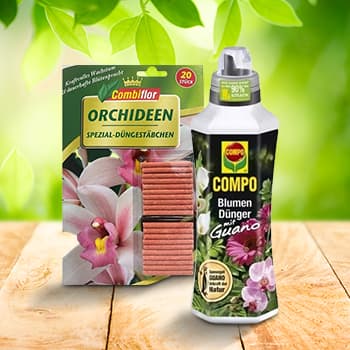 Orchidėjoms