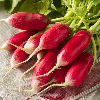 Ridikai ir ridikėliai