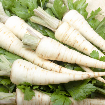 Šakninės petražolės