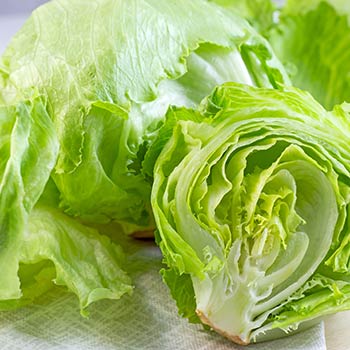 Salotiniai kopūstai