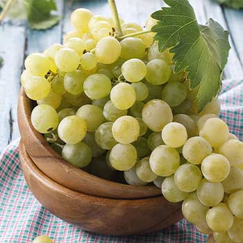 Valgomosios vynuogės