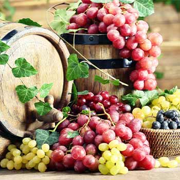 Vynuogės vynui