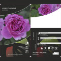 Floribunda rožė Adore Aroma®, С3 interface.image 3 interface.art 2065