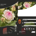 Vijoklinė rožė Eden Rose®, C3 interface.image 3 interface.art 4559
