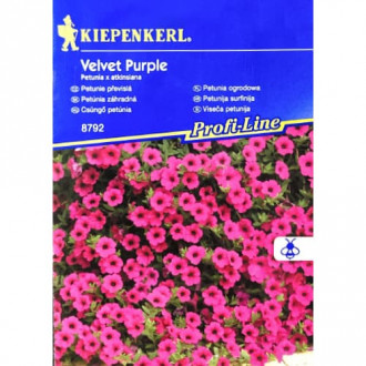Petunijos Velvet Purple F1 Kiepenkerl interface.image 4