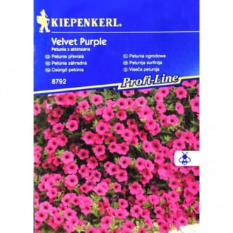 Petunijos Velvet Purple F1 Kiepenkerl interface.image 3