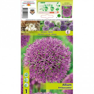 Allium (česnakas) Ambassador interface.image 6