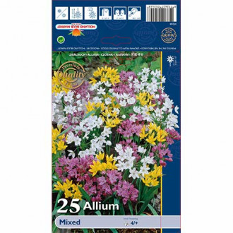 Dekoratyviniai česnakai (Allium), spalvų mišinys interface.image 4