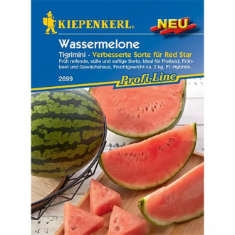 Arbūzai Wassermelone Tigrimini, F1 interface.image 3