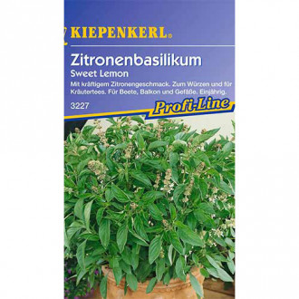 Bazilikas Sweet Lemon Kiepenkerl nuotrauka 17 Bazilikas Sweet Lemon Kiepenkerl interface.image 17