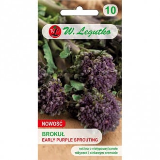 Brokoliai Early Purple Sprouting - ankstyvieji interface.image 6