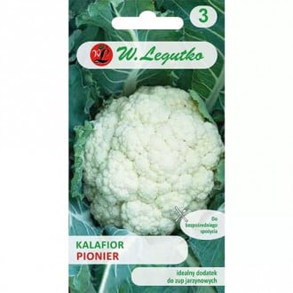 Cauliflower Pionier interface.image 1