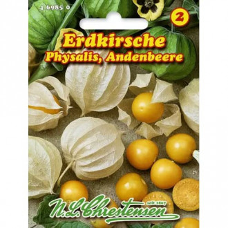 Damplūnės Ananasbeere Physalis interface.image 1
