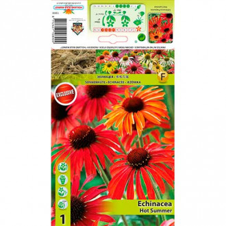Ežiuolė (Echinacea) Hot Summer interface.image 4