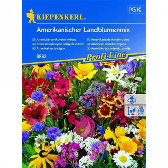 Gėlių mišinys Blumenmischung Amerikanischer Landblumenmix interface.image 1