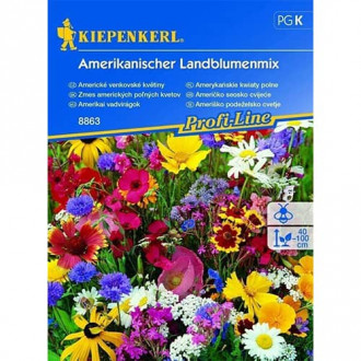 Gėlių mišinys Blumenmischung Amerikanischer Landblumenmix interface.image 6