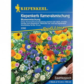 Gėlių mišinys Blumenmischung Karneval Mix Kiepenkerl interface.image 2