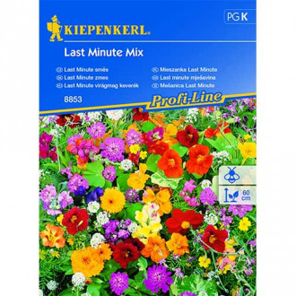Gėlių mišinys Blumenmischung Last Minute Mix interface.image 1