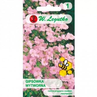 Gubojos Gypsophila rafinuotosios rožinis Legutko interface.image 3
