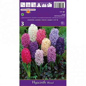 Hiacintas Spring Palette, spalvų mišinys interface.image 6