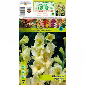 Kardelis (Gladiolus) Debby Ann interface.image 4