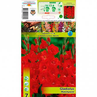 Kardelis (Gladiolus) Matchpoint interface.image 5