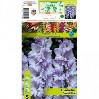 Kardelis (Gladiolus) Sweet Blue interface.image 6