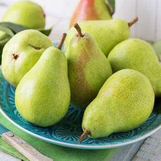 Kriaušė Passe Crassane interface.image 13