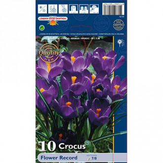 Krokai Flower Record interface.image 4
