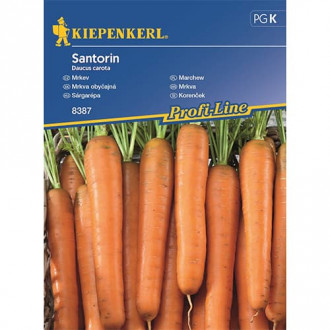 Morkos Santorin, F1 interface.image 15