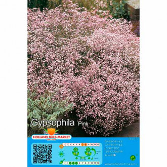 Muilinė Guboja (Gypsophila Panicul.) Pink interface.image 1