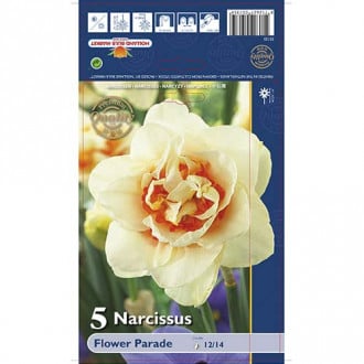 Narcizas pilnaviduris Flower Parade interface.image 2