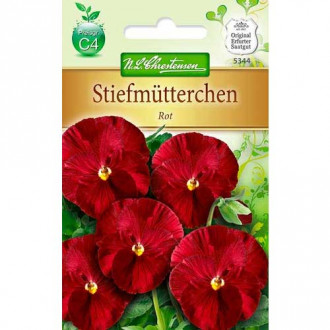 Pansy stambiažiedė Red Chrestensen interface.image 5