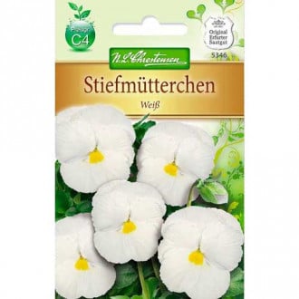 Pansy stambiažiedė White Chrestensen interface.image 1