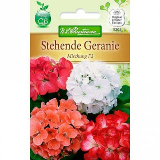 Pelargonija, mix Chrestensen interface.image 2
