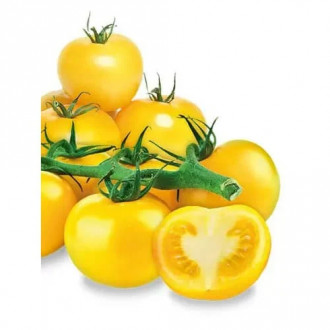 Pomidorai Goldene Königin Chrestensen interface.image 1