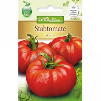 Pomidorai Ikarus interface.image 3