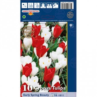 Puikus pasiūlymas! Tulip. Crocus Early Spring Beauty. 10 svogūnų rinkinys interface.image 6