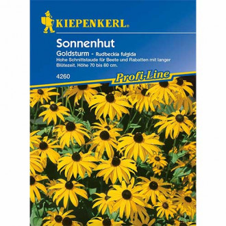 Rudbekija plaukuotas Goldsturm Kiepenkerl interface.image 2