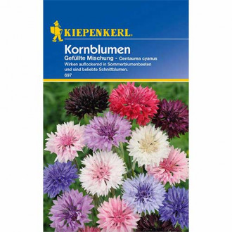 Rugiagėlė mėlynas butelis Pastell Mix Kiepenkerl interface.image 6