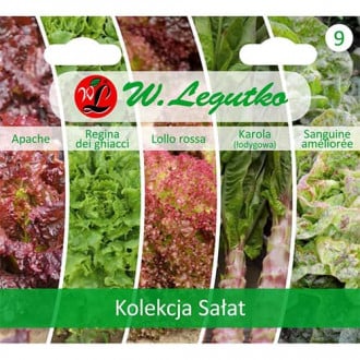 Salotų kolekcija interface.image 5