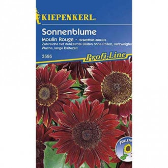 Saulėgrąžų dekoratyviniai Moulin Rouge Kiepenkerl interface.image 18